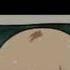 Flipagram Naruto Jiraya Eva Guess Roule Soprano Cover