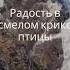 Песня о Буревестнике Music Song