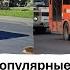 Самые непопулярные маршруты автобусов в Нижнем Новгороде нижнийновгород автобус