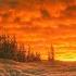 Sibelius Symphony No 5 In E Flat Major Op 82 Herbert Blomstedt