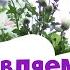 Поздравление для учителей День учителя 2019