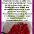 Калина богата витамином C калина витамины полезнознать здоровье полезныесоветы