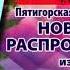 Региональная реклама НТВ г Тамбов 26 11 2020