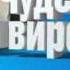 Чудеса на виражах