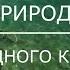 Природа родного края