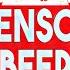 Censor Beep Sound Effect Sound Of Censor Beep Royalty Free Censor Sample Sounds