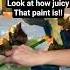 Juicy Paint From Create Abstract From Scratch Video Click Link Art Howto Painting Abstract