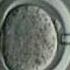 Types Of Cloning Micro Edu GR