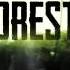 The Forest Soundtrack Kassette 5