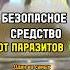 БЕЗОПАСНОЕ средство от ПАРАЗИТОВ в домашних условиях из одного ингридиента тыквенные семечки