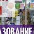 Пес по имени Мани Грамотное распределение финансов Самообразование детей