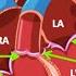 HEART ANATOMY In 3 MINUTES Memorize Parts Of The Heart