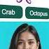 Animals Vocabulary English Learning Englishspeaking Learnenglish