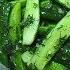 Crispy Lightly Salted Cucumbers In A Package How To Pickle Cucumbers