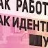 Как работают ступени Как идентифицировать удака И почему к ни достойна не только мать