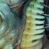 Aliens VS Predator 2 LIFECYCLE OF AN ALIEN Alien Campaign Part 1