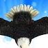 Leo Rojas Der Einsame Hirte El Condor Pasa