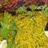 Kasba Dhaba Restaurant Mumbra Chiken Recipe Food Mumbai Music Ahad Chef India Indian
