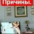 Shorts базовыепотребности каринатаро месть ярость причины