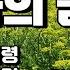 Cover 황금길 남자의 꿈 원곡 진미령 영상가사