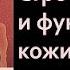 Биология 8 класс Строение и функции кожи