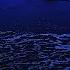 Fall Asleep In Minutes 12H Ocean Waves To Quiet The Mind Heal The Heart