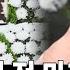 정애리 세상을 떠나기 직전 남긴 마지막 한 마디