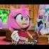 Шедоу и Эми шедоу эми Shadow Amyrose Shadamy