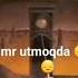 Vurgunum Murat Goʻgʻebakan Xitmuzon