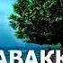 ТАВАККУЛ ВА ТАВОКУЛ ИККИСИНИНГ МИСОЛИ БАРОБАРМИ АБДУЛЛОҲ ДОМЛА Alloh Iquran Muhammad