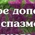 Народное дополнение к лечению спазмов сосудов головного мозга
