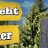 Bernhard Brink Es Geht Immer Weiter