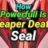 How Powerfull Is Reaper Death Seal In Naruto Anime Shorts Naruto