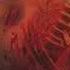 Cannibal Corpse Surround Kill Devour Increased Bass