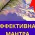 МАНТРА ЛЮБВИ ДЛЯ СЧАСТЛИВЫХ ОТНОШЕНИЙ ॐ Радхе Говинда Shorts