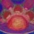 Mandala Eyes Rinnai Sun Warm Seeds