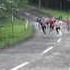 NU Men S Tennis Team Finishing Their 3km Run Up Mt Makiling
