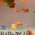 Karaoke 男人哭吧不是罪 刘德华