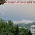 Namiq Bəlkə Mən Düz Eləmirəm Sənə Bu Qədər Bağlanıram Bizgroupproduction Shots Səs Voice