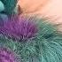 Monsters Inc Sully S Morning