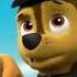 Skye Chase Edit Skye Chase Puppy Nickelodeon Shorts