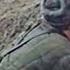 СПАСТИ ЖИЗНИ СВОИХ ЛЮДЕЙ УДАРНЫЙ ВОЕННЫЙ ФИЛЬМ ЕГО БАТАЛЬОН 1 ЧАСТЬ ЛУЧШИЕ ФИЛЬМЫ БОЕВИКИ