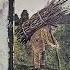 Led Zeppelin The Battle Of Evermore Remaster