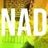 Rastaman Goes Reggae