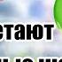 Куда улетают Воздушные Шарики Как далеко улетают