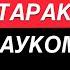 Как ПОЛНОСТЬЮ избавиться от катаракты и глаукомы Офтальмохирург Евгений Гурмизов