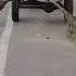Cleaning Street With Smart Idea