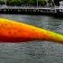 I Went Fishing In NYC