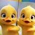 Duck Song Rumsam Duck Dance Duck Shorts Cartoon