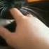 Кот и палец Cat And Finger Shorts Cat Youtube Youtubeshorts Viral Meme Prank Videoive рек